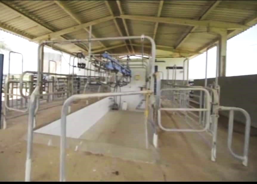 Fazenda, 239 hectares - Foto 8