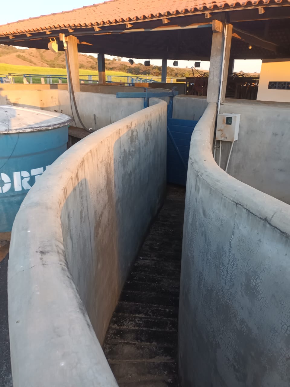 Fazenda, 239 hectares - Foto 10