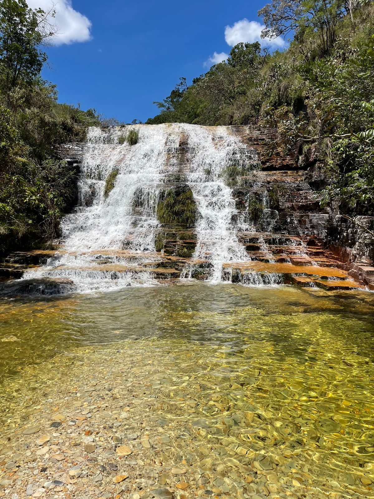 Fazenda, 239 hectares - Foto 12