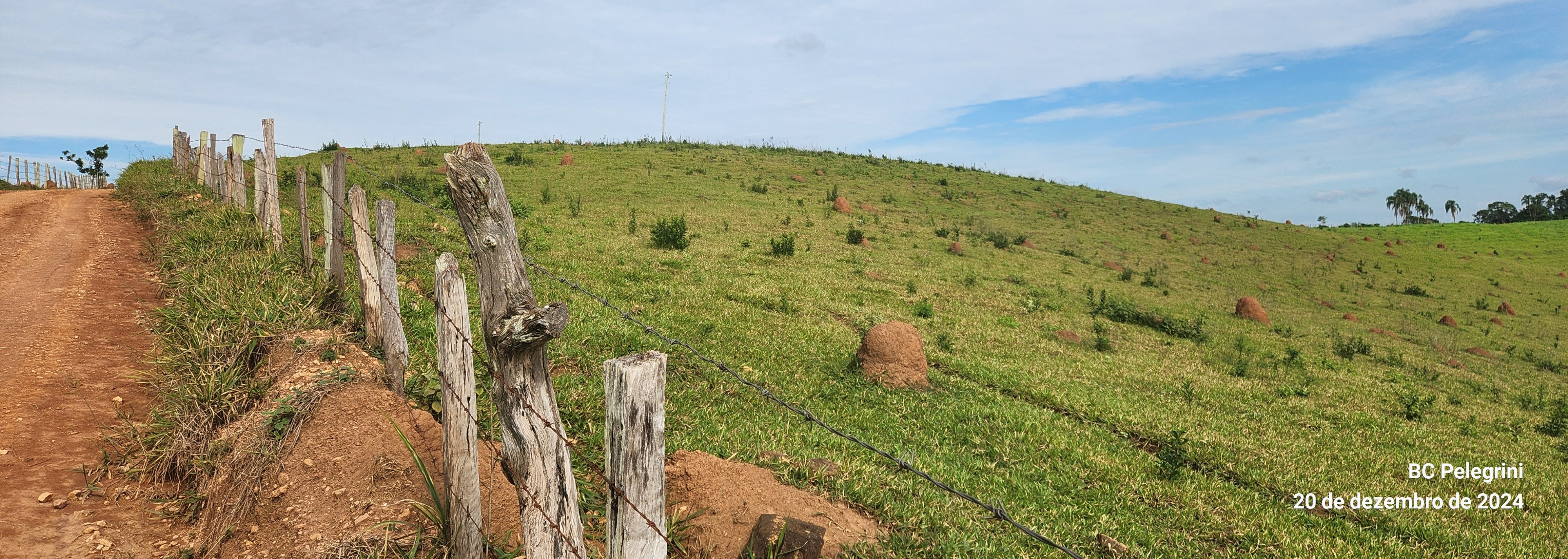Fazenda, 134 hectares - Foto 9