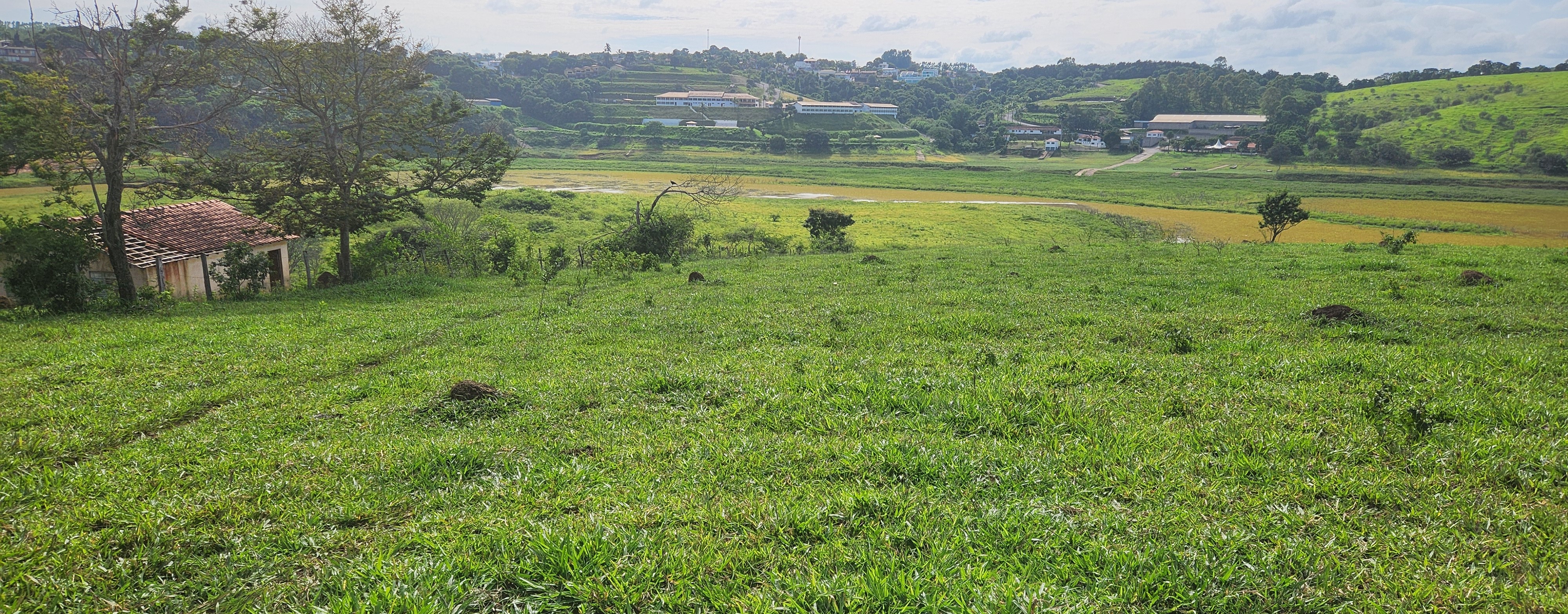Fazenda, 134 hectares - Foto 25