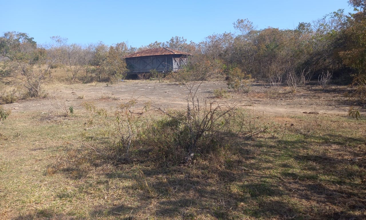 Fazenda, 99 hectares - Foto 5