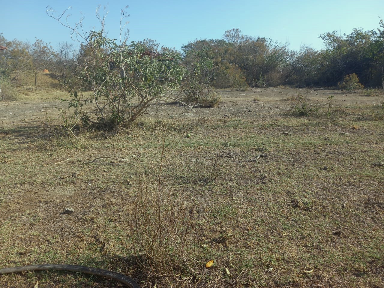 Fazenda, 99 hectares - Foto 7