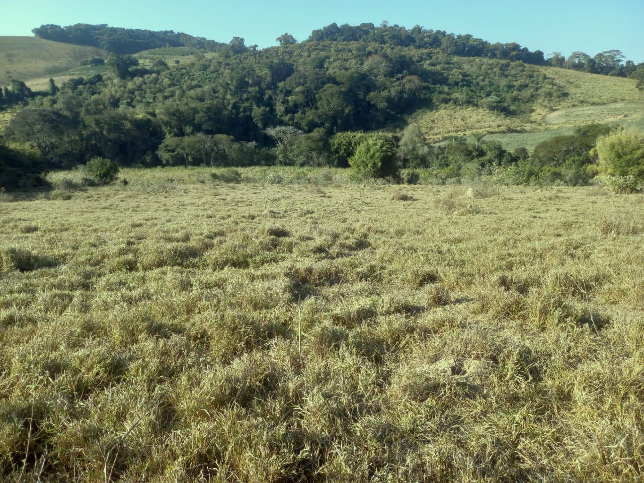 Fazenda, 99 hectares - Foto 2