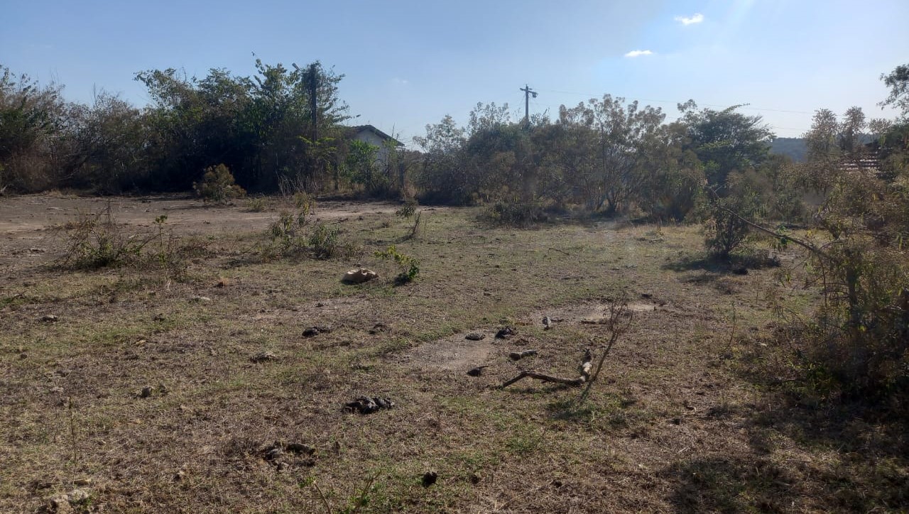 Fazenda, 99 hectares - Foto 11