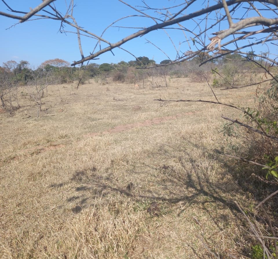 Fazenda, 99 hectares - Foto 3