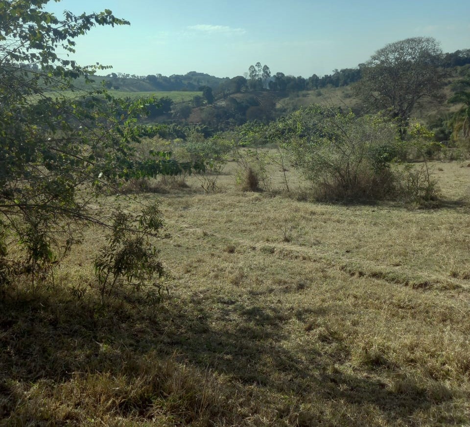 Fazenda, 99 hectares - Foto 9