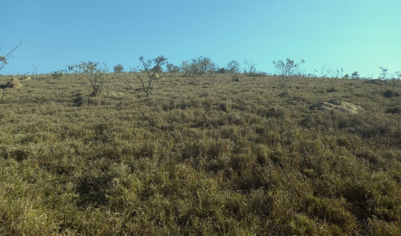 Fazenda, 99 hectares - Foto 10