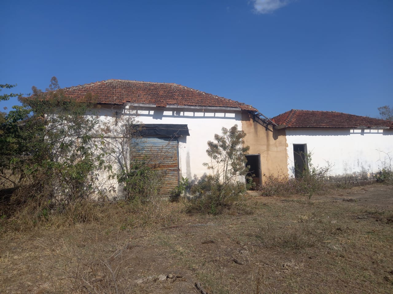 Fazenda, 99 hectares - Foto 15