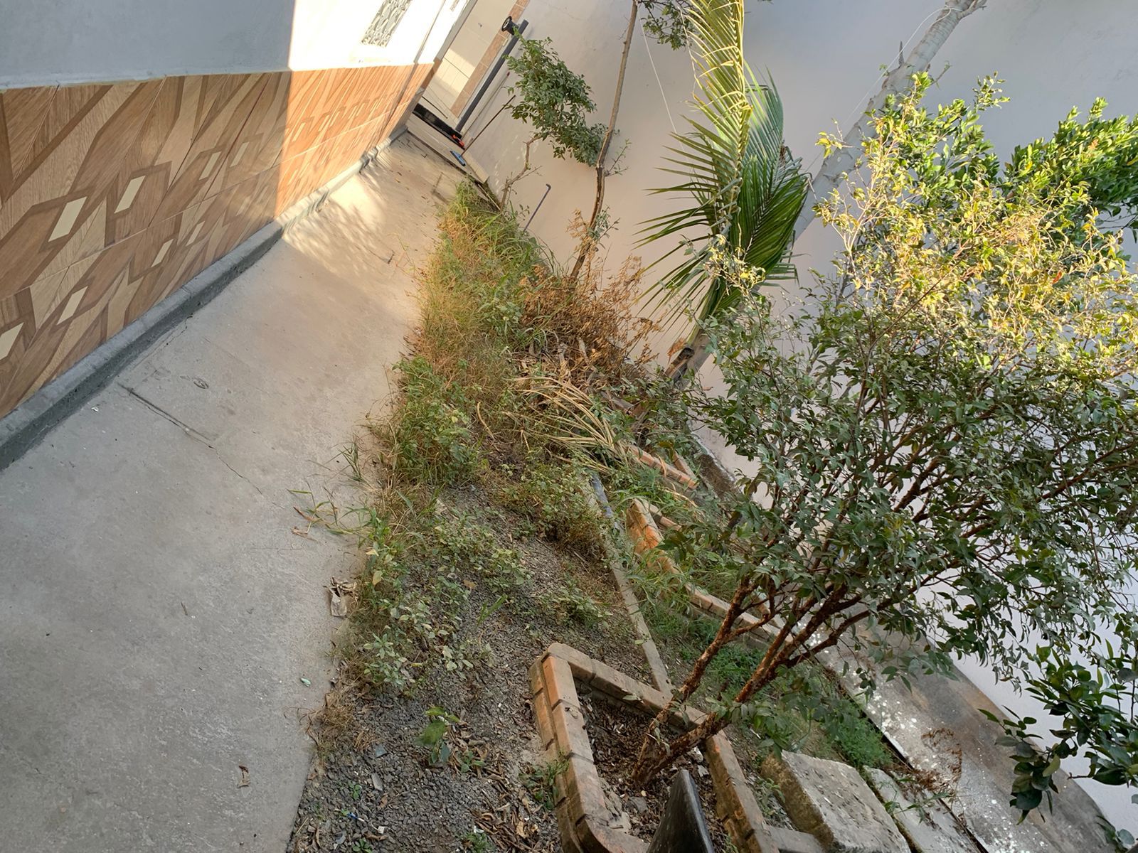 Casa, 6 quartos, 450 m² - Foto 13