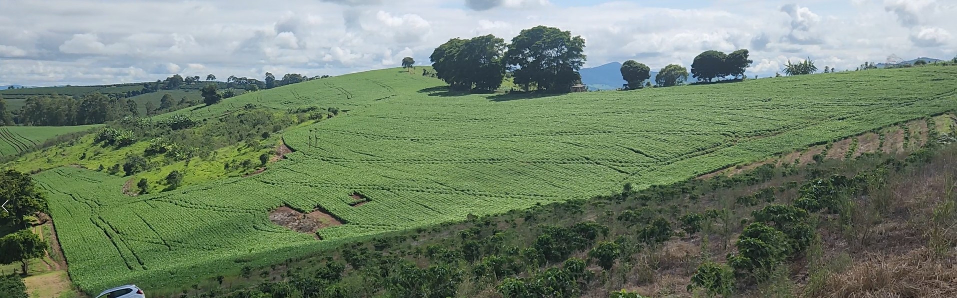 Sítio, 1 quarto, 24 hectares - Foto 1