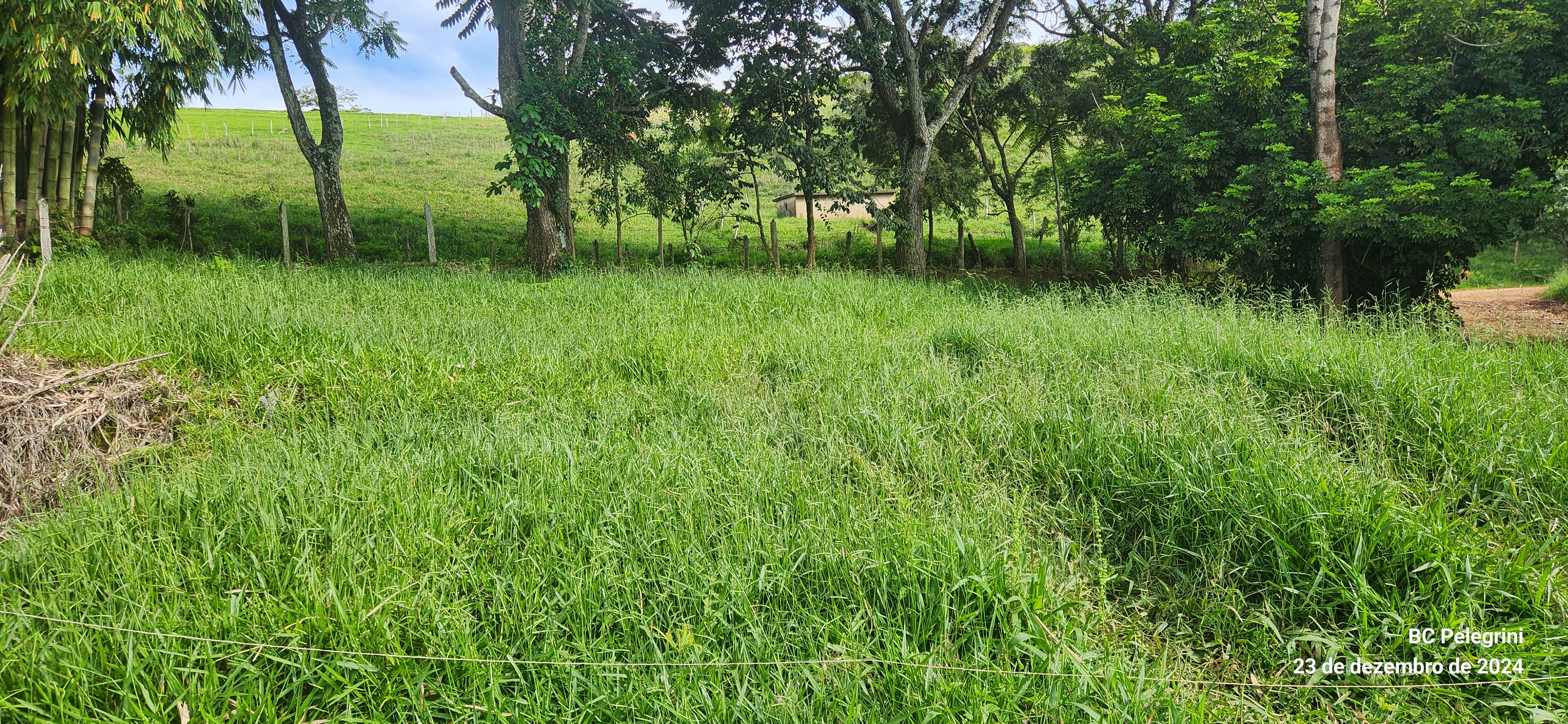 Fazenda, 109 hectares - Foto 21