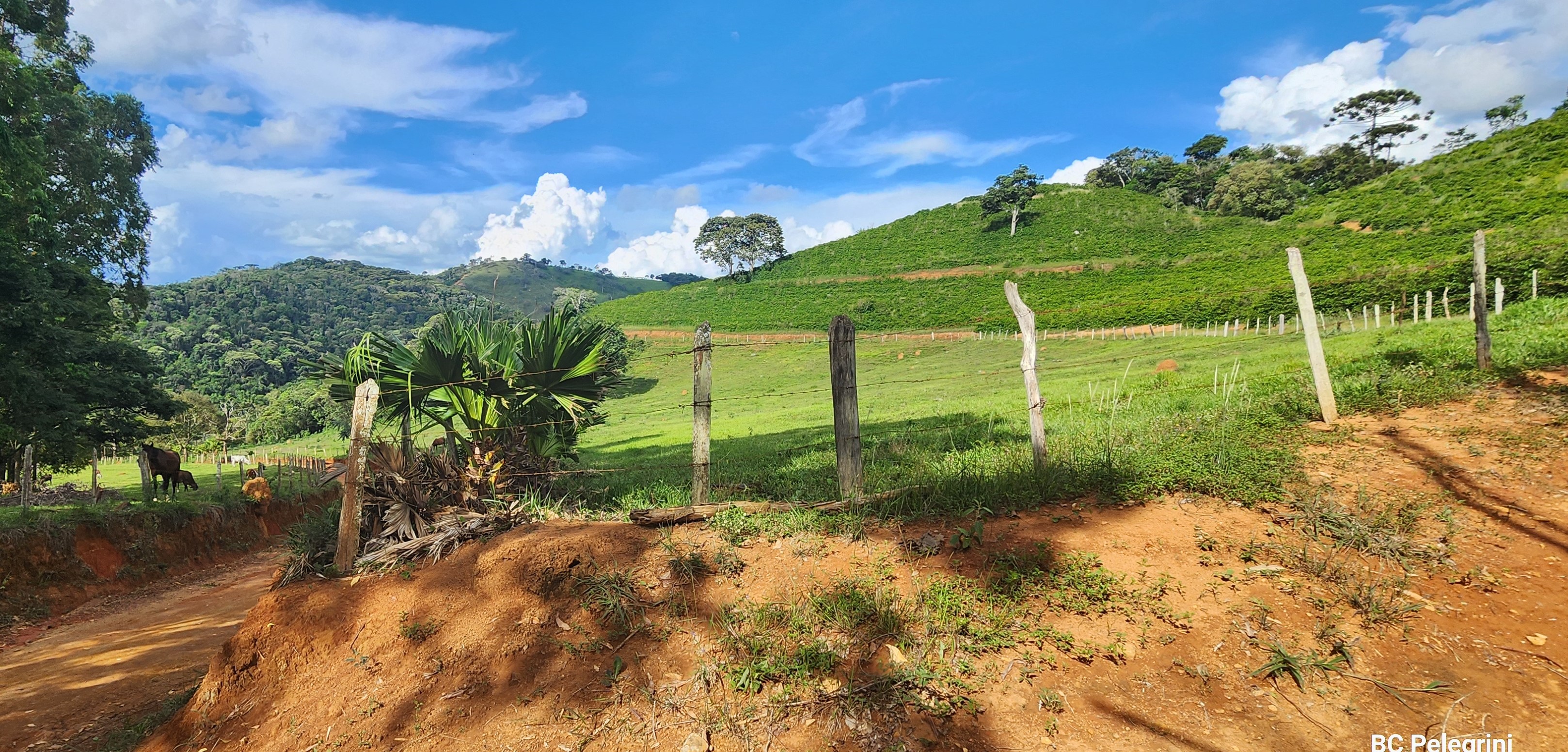 Fazenda, 109 hectares - Foto 11