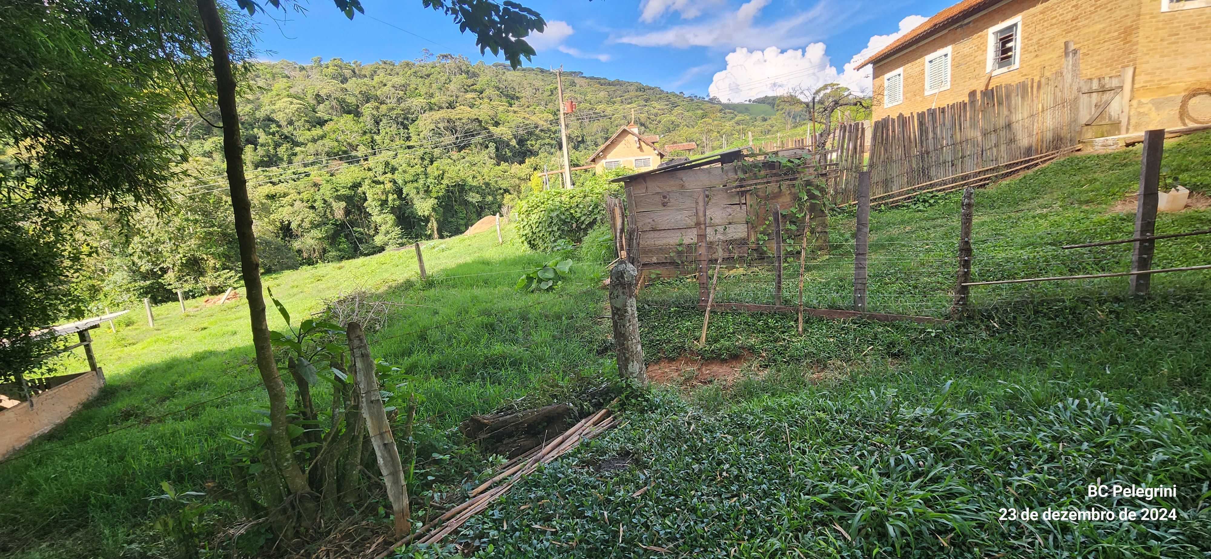 Fazenda, 109 hectares - Foto 23