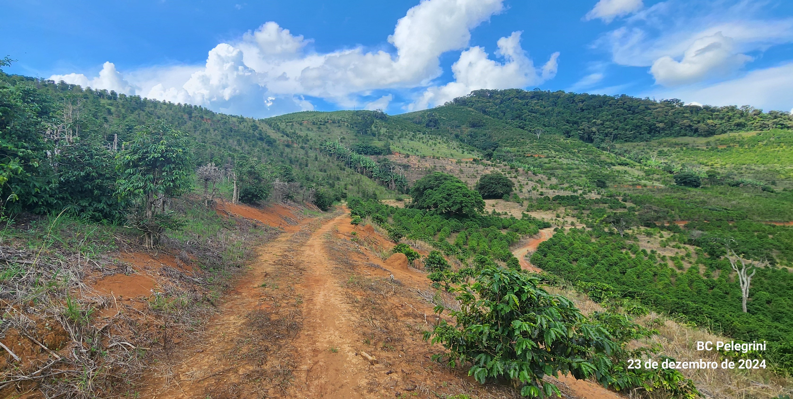 Fazenda, 109 hectares - Foto 7