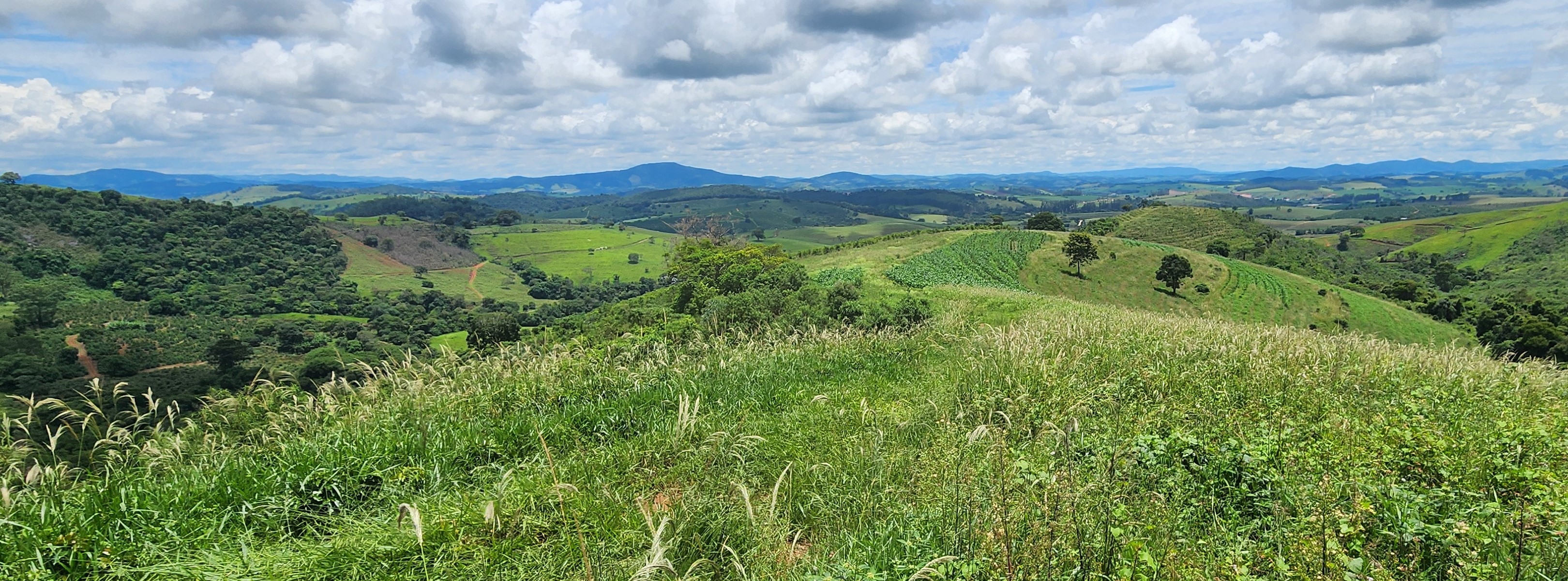 Fazenda, 85 hectares - Foto 8