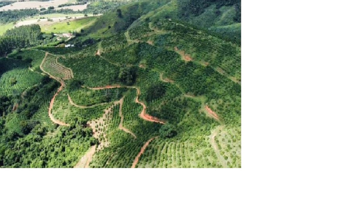 Fazenda, 85 hectares - Foto 22