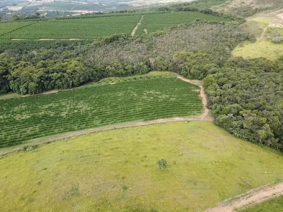 Fazenda, 94 hectares - Foto 8