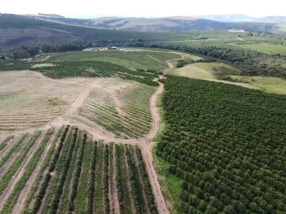 Fazenda, 94 hectares - Foto 13