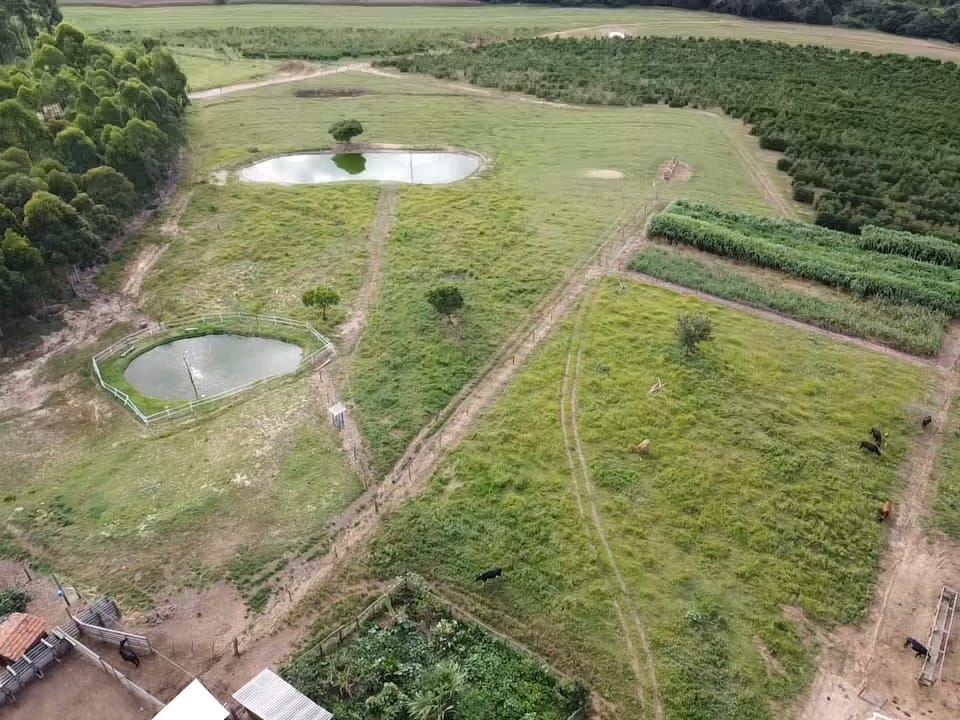Fazenda, 94 hectares - Foto 4