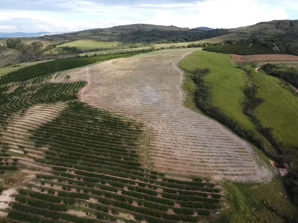 Fazenda, 94 hectares - Foto 19
