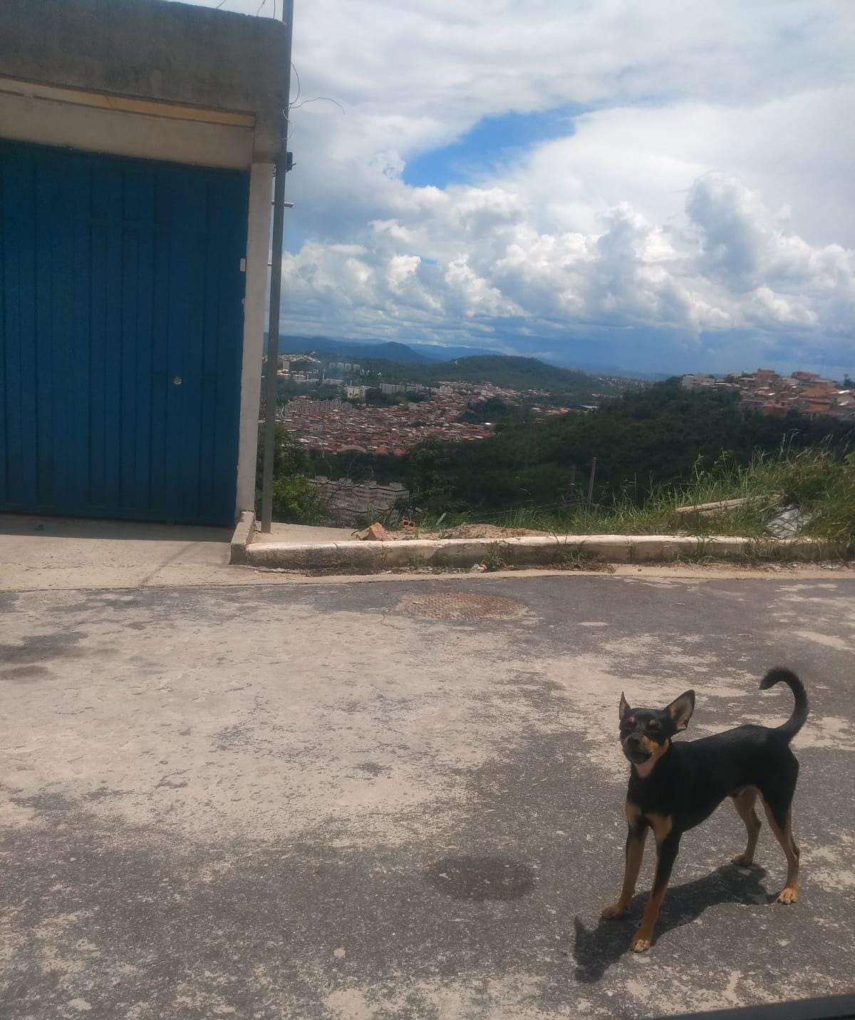 Terreno, 200 m² - Foto 5