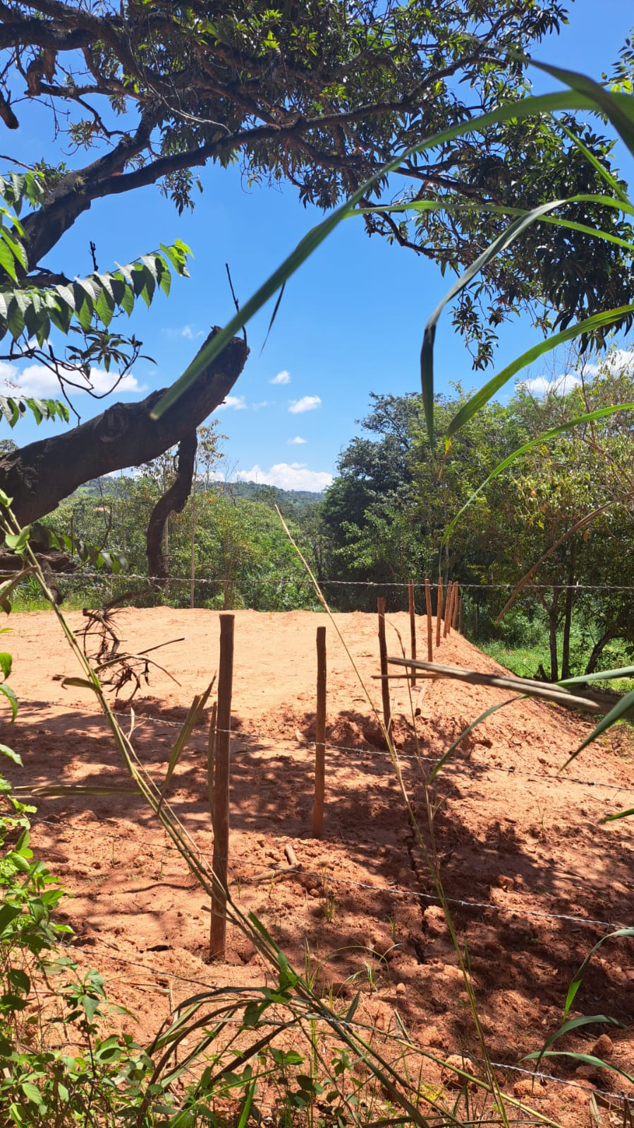 Terreno, 1250 m² - Foto 3