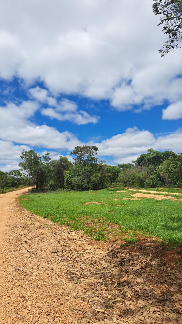 Chácara, 1 quarto, 2 hectares - Foto 1
