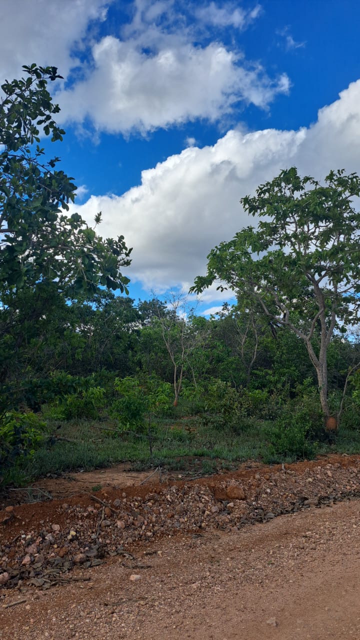 Terreno, 2 hectares - Foto 7