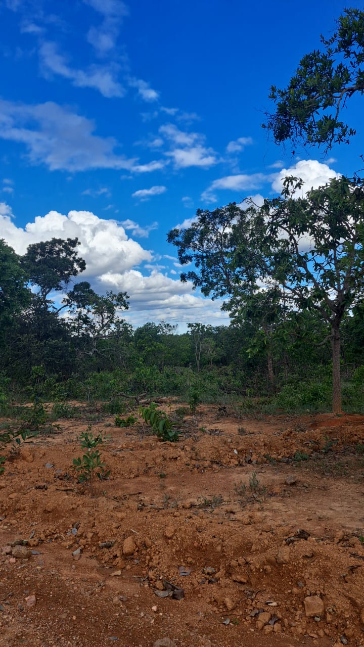 Chácara, 1 quarto, 2 hectares - Foto 4