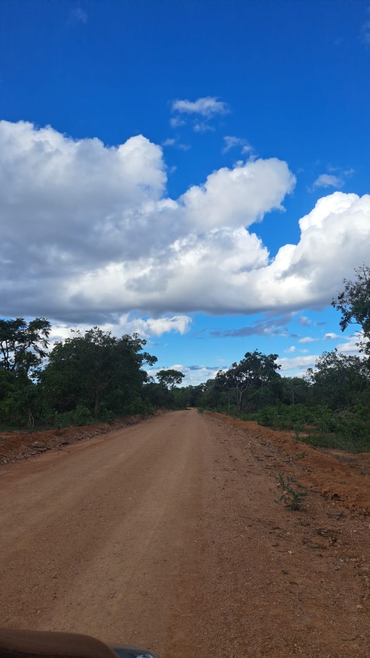 Chácara, 1 quarto, 2 hectares - Foto 5