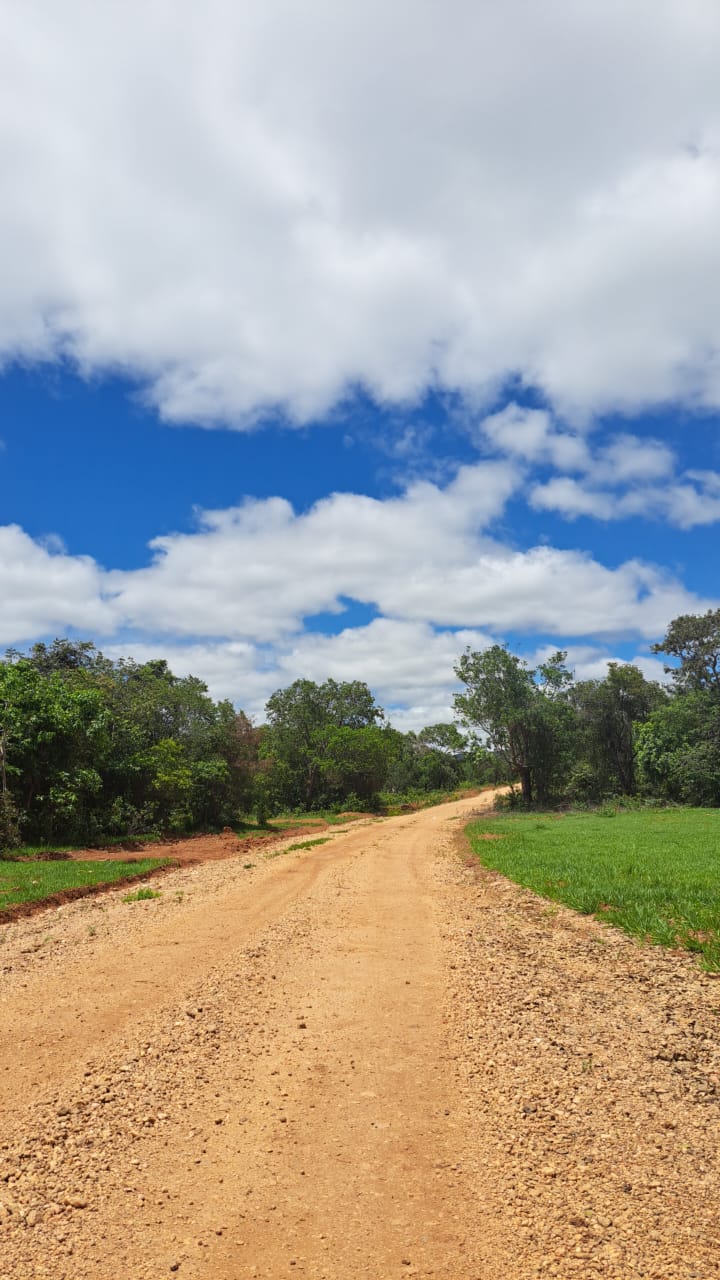 Chácara, 1 quarto, 2 hectares - Foto 2