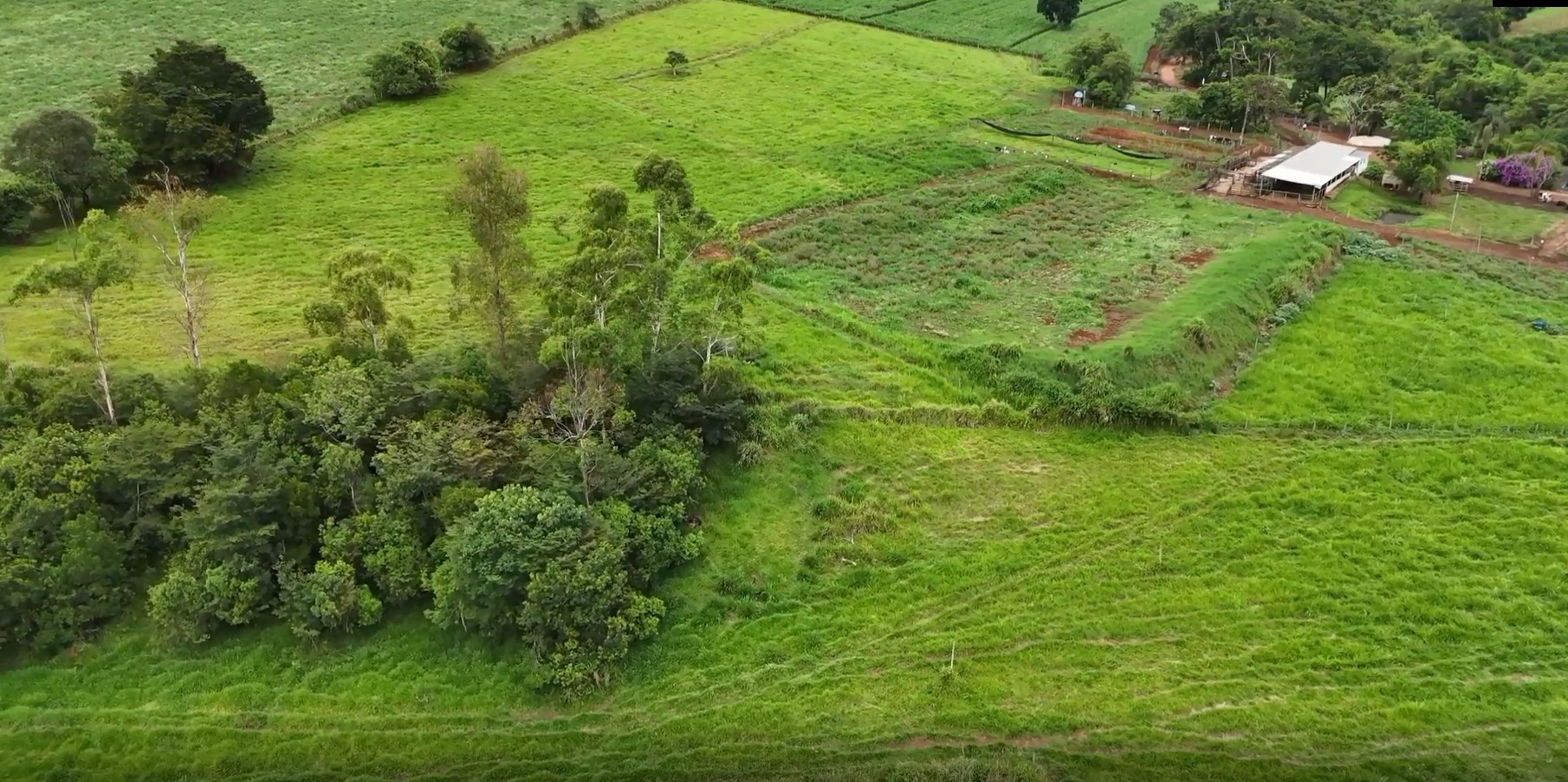 Fazenda, 74 hectares - Foto 2