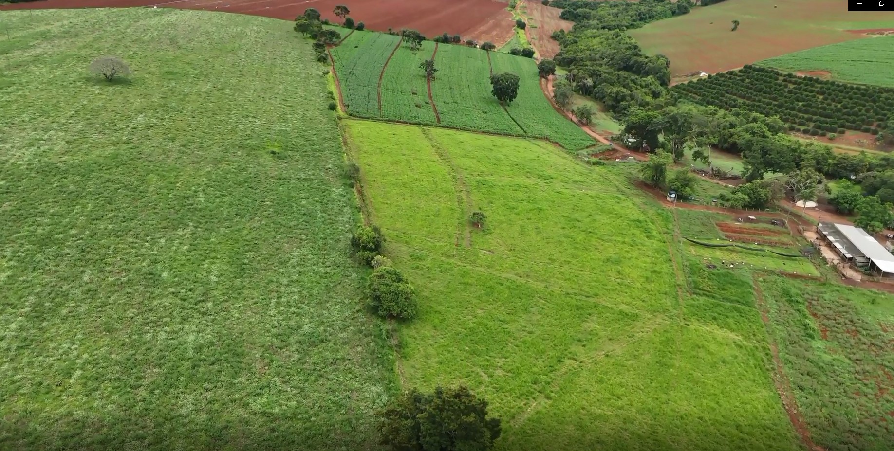 Fazenda, 74 hectares - Foto 3