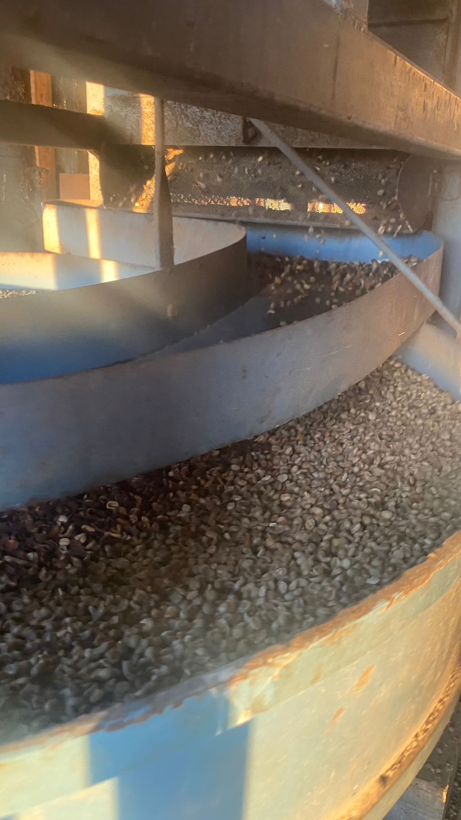 Sítio, 1 quarto, 24 hectares - Foto 22