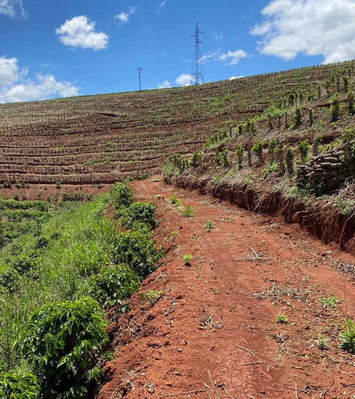 Chácara, 1 quarto, 24 hectares - Foto 9