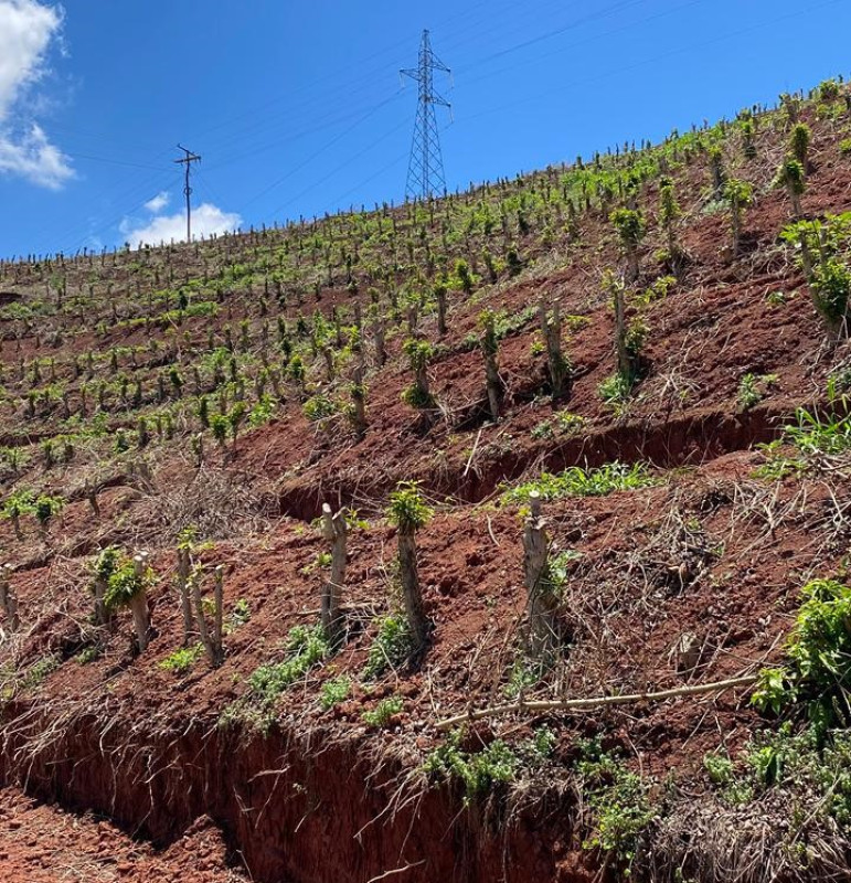 Chácara, 1 quarto, 24 hectares - Foto 11