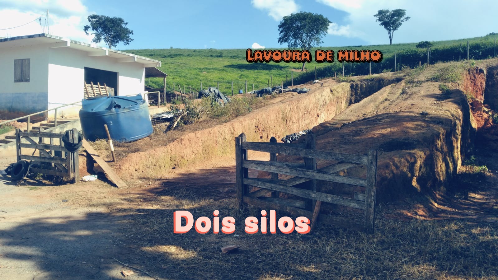 Chácara, 1 quarto, 29 hectares - Foto 15
