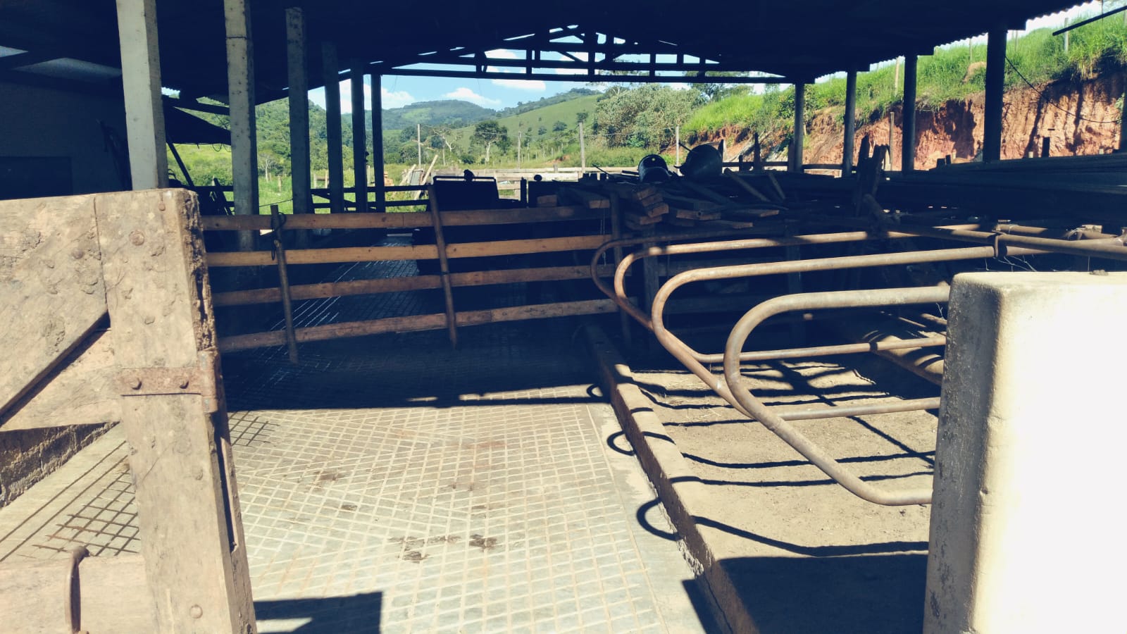 Chácara, 1 quarto, 29 hectares - Foto 18