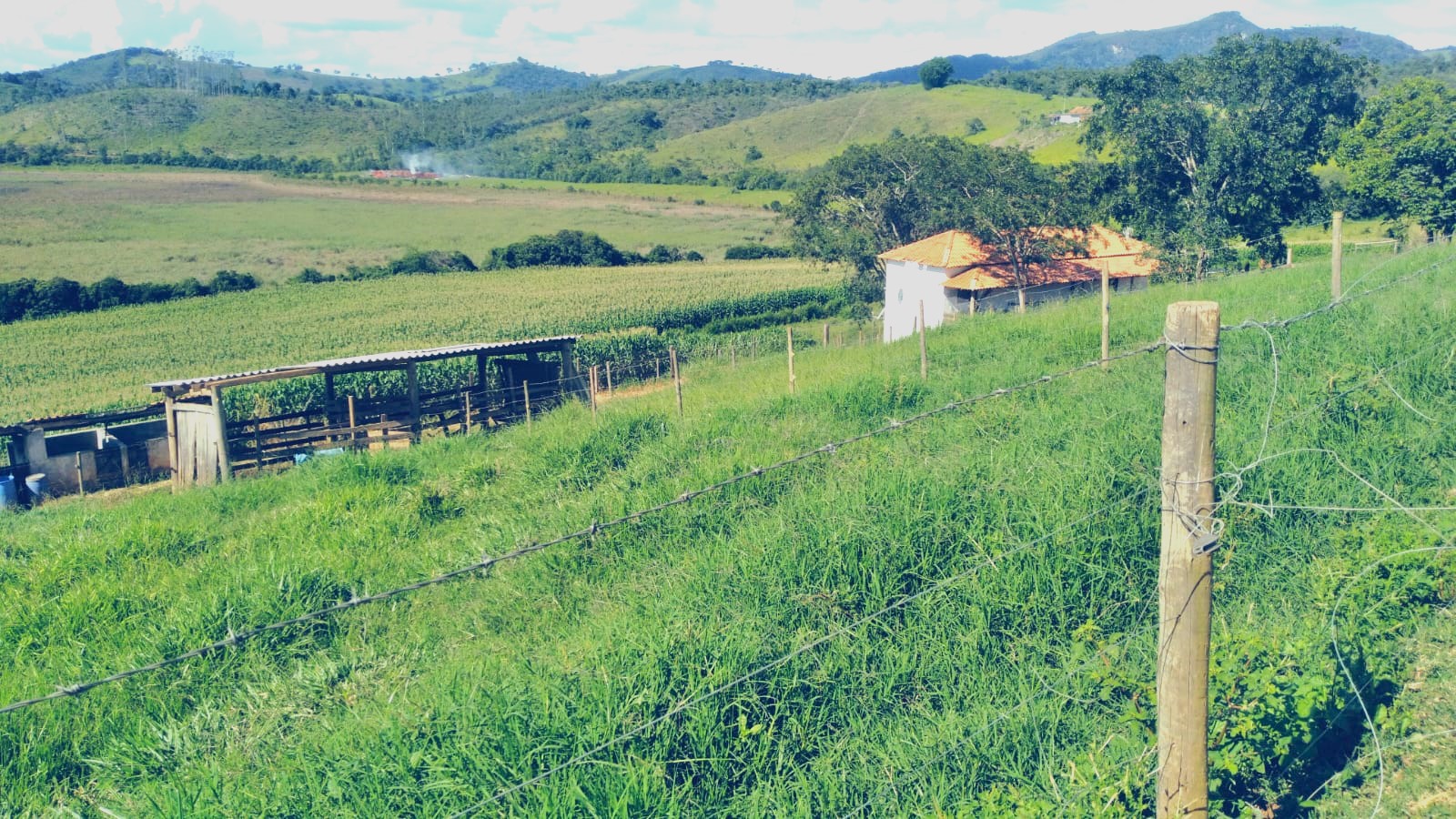Chácara, 1 quarto, 29 hectares - Foto 7
