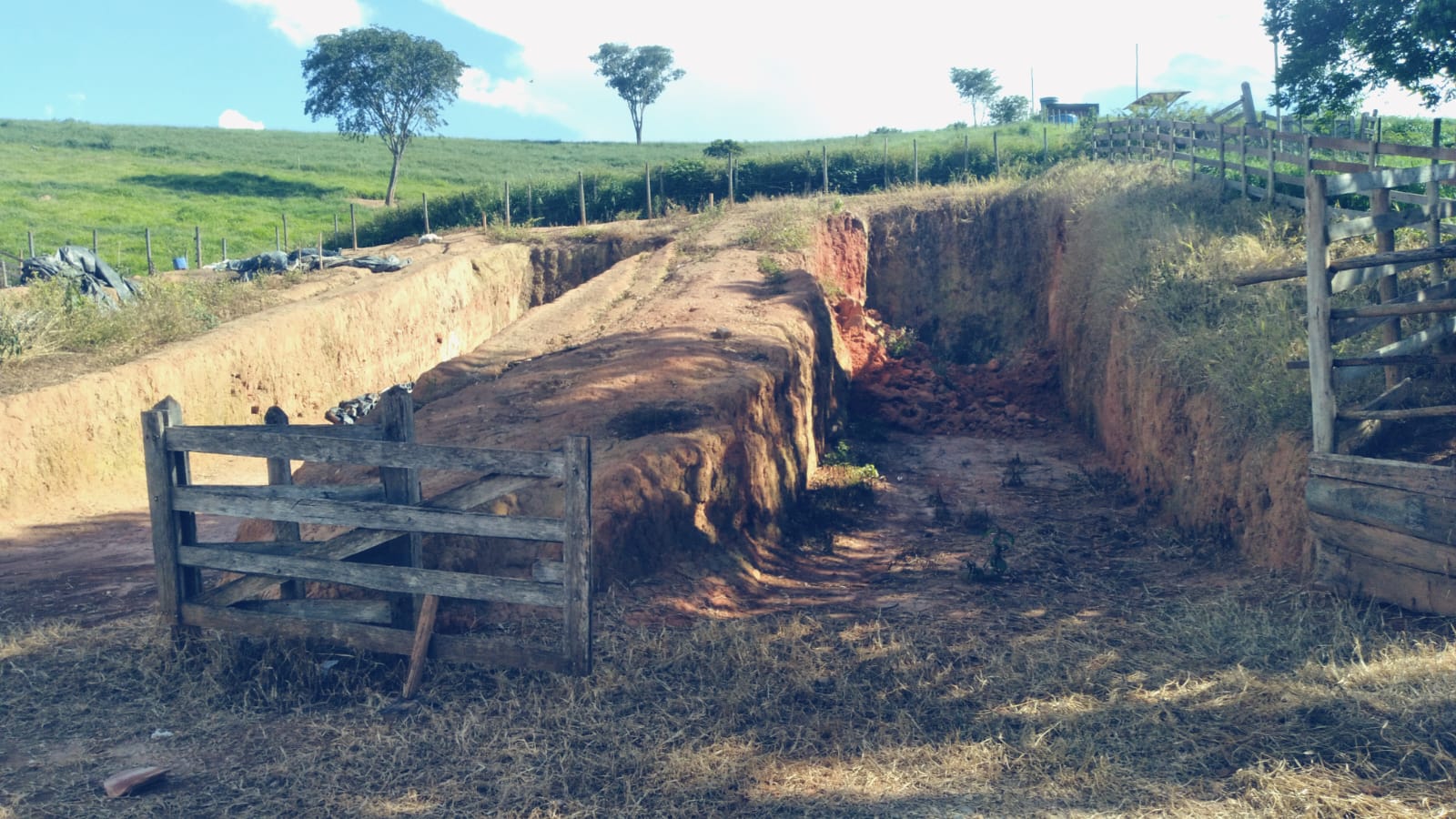 Chácara, 1 quarto, 29 hectares - Foto 16