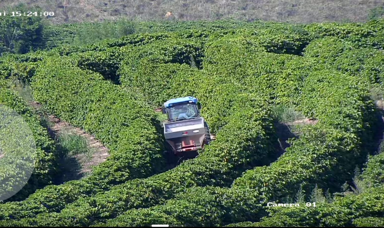 Fazenda, 149 hectares - Foto 2