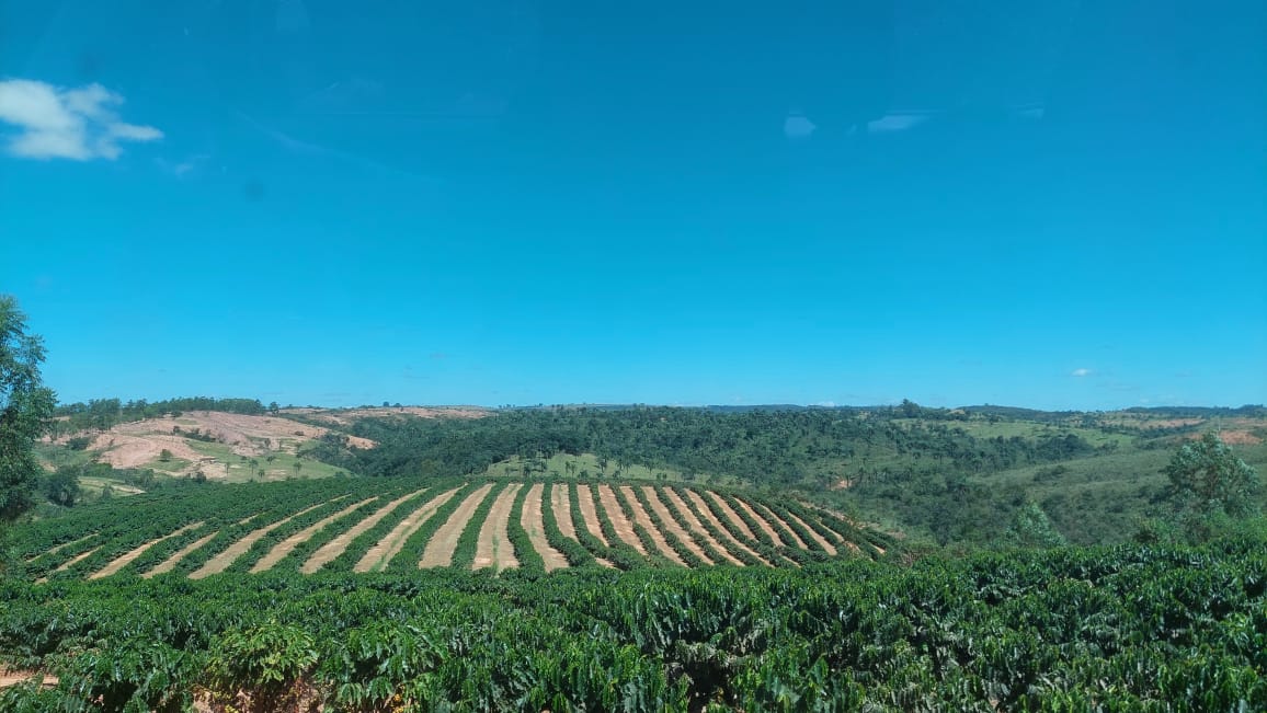 Fazenda, 149 hectares - Foto 4