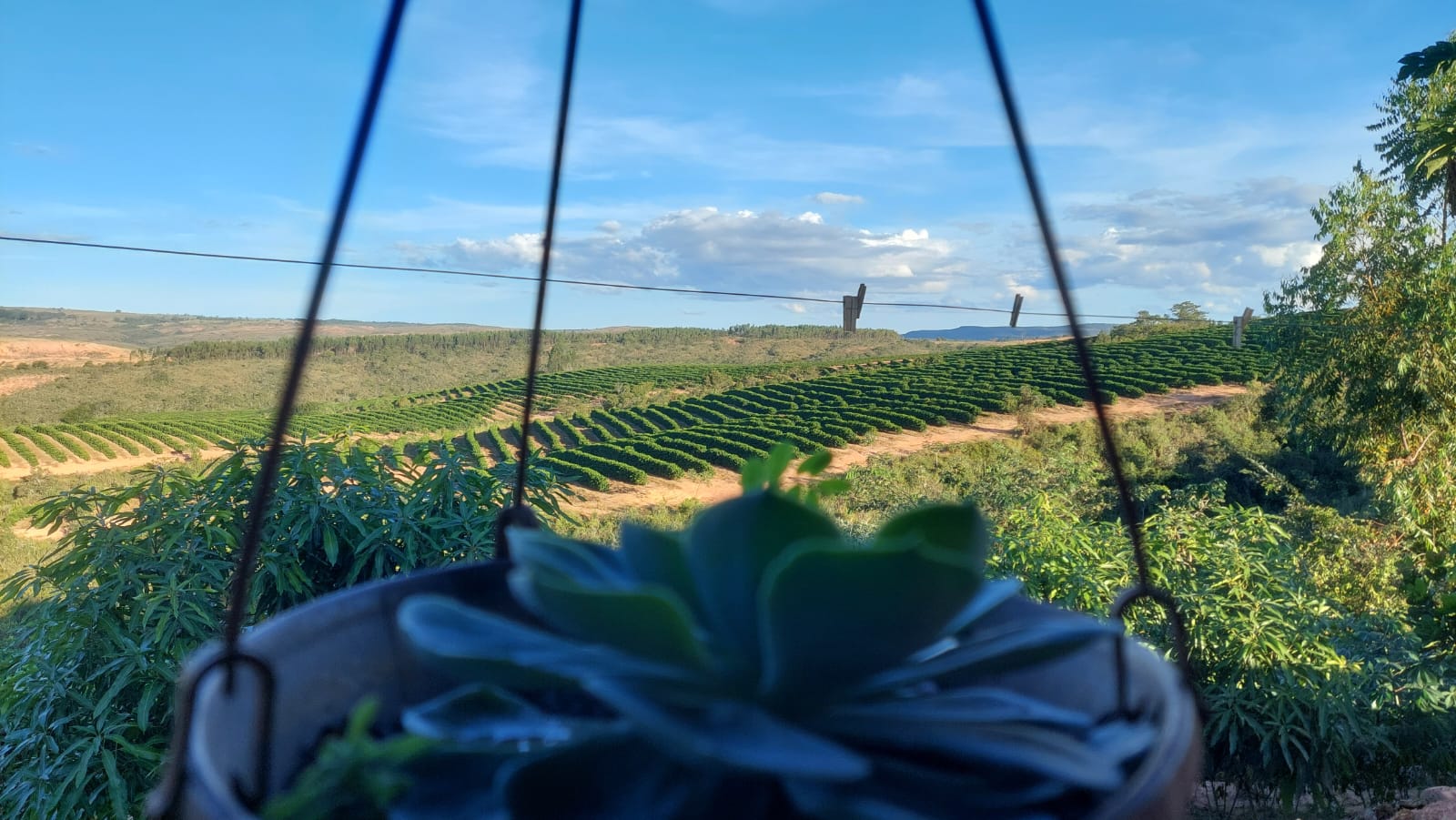 Fazenda, 149 hectares - Foto 3