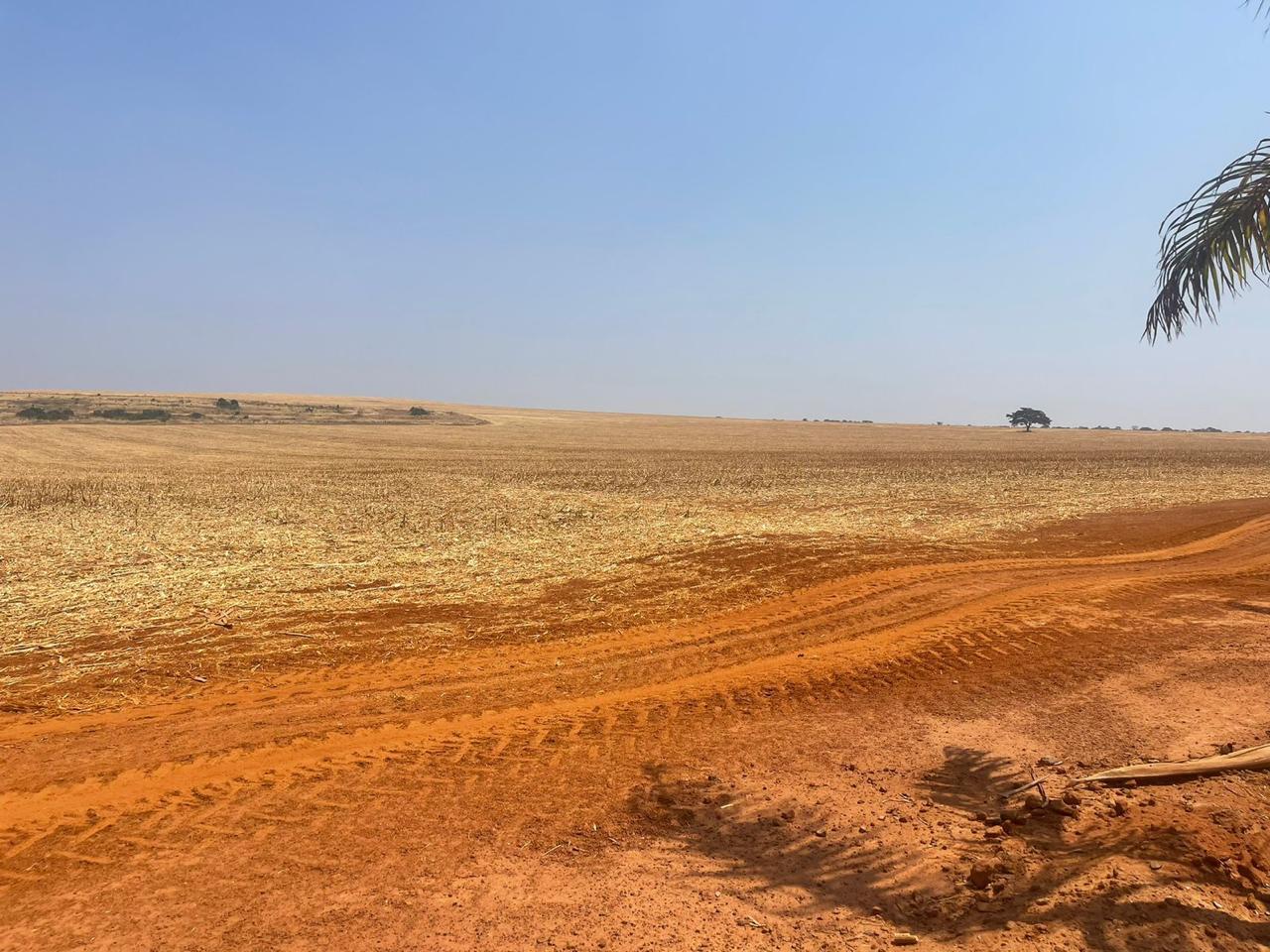 Fazenda-Sítio-Chácara, 19 hectares - Foto 16
