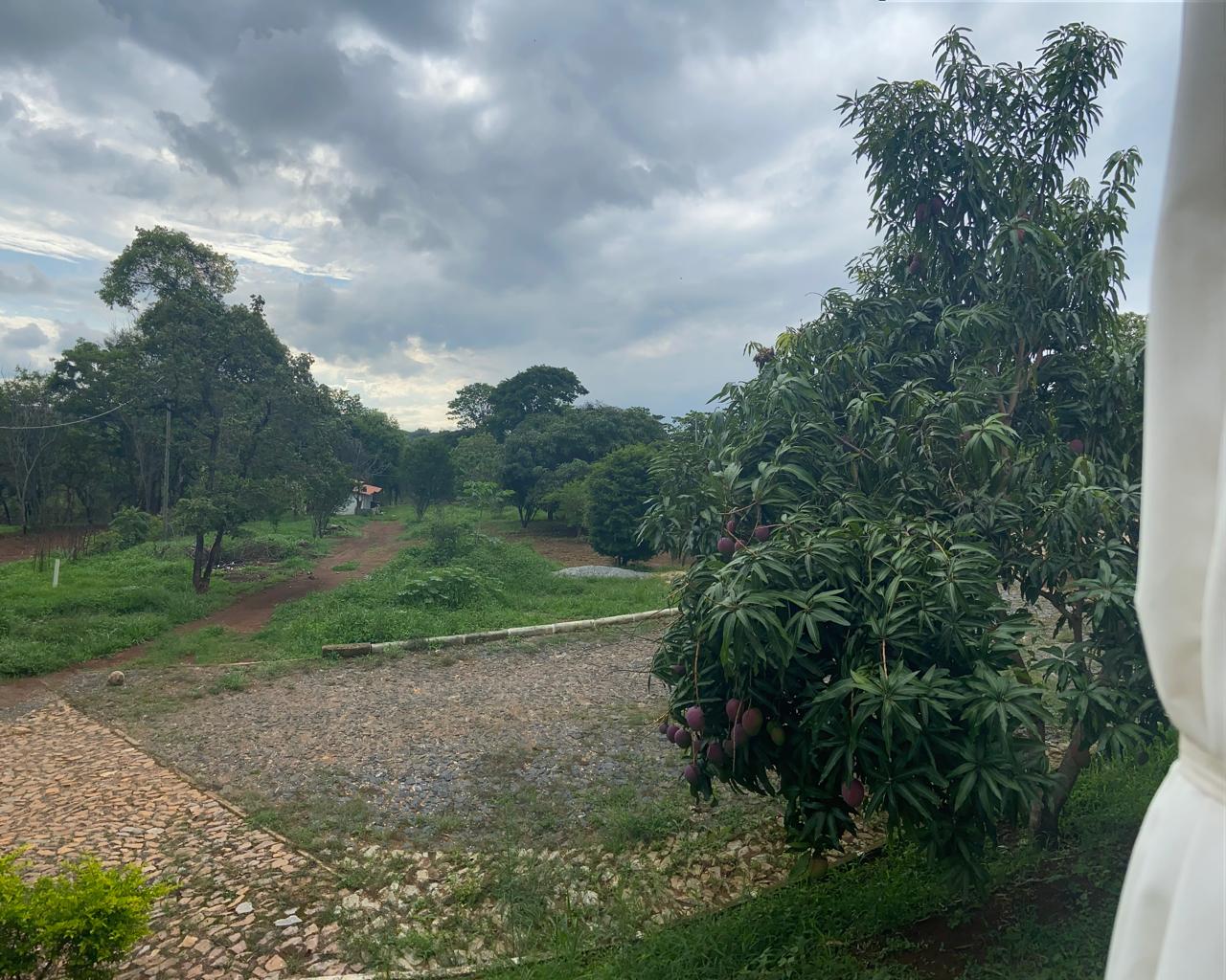 Chácara, 3 quartos, 24 m² - Foto 18