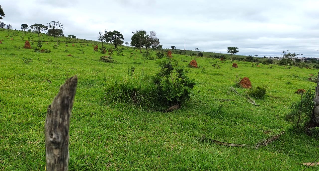Fazenda, 95 hectares - Foto 21