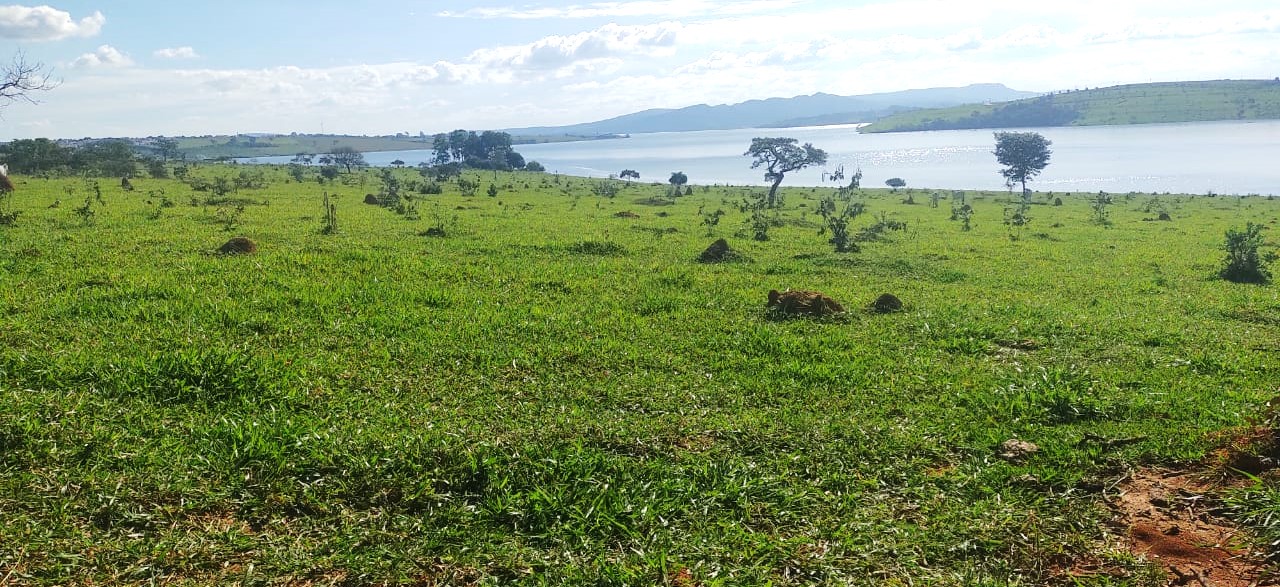 Fazenda, 95 hectares - Foto 12