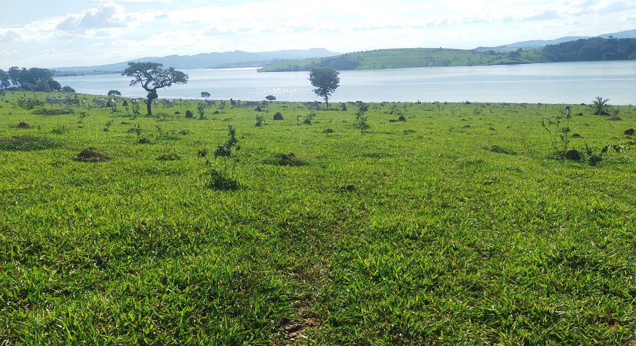 Fazenda, 95 hectares - Foto 5