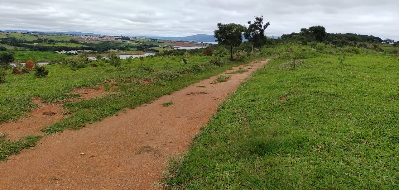 Fazenda, 95 hectares - Foto 23